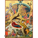 Nativity of the Lord